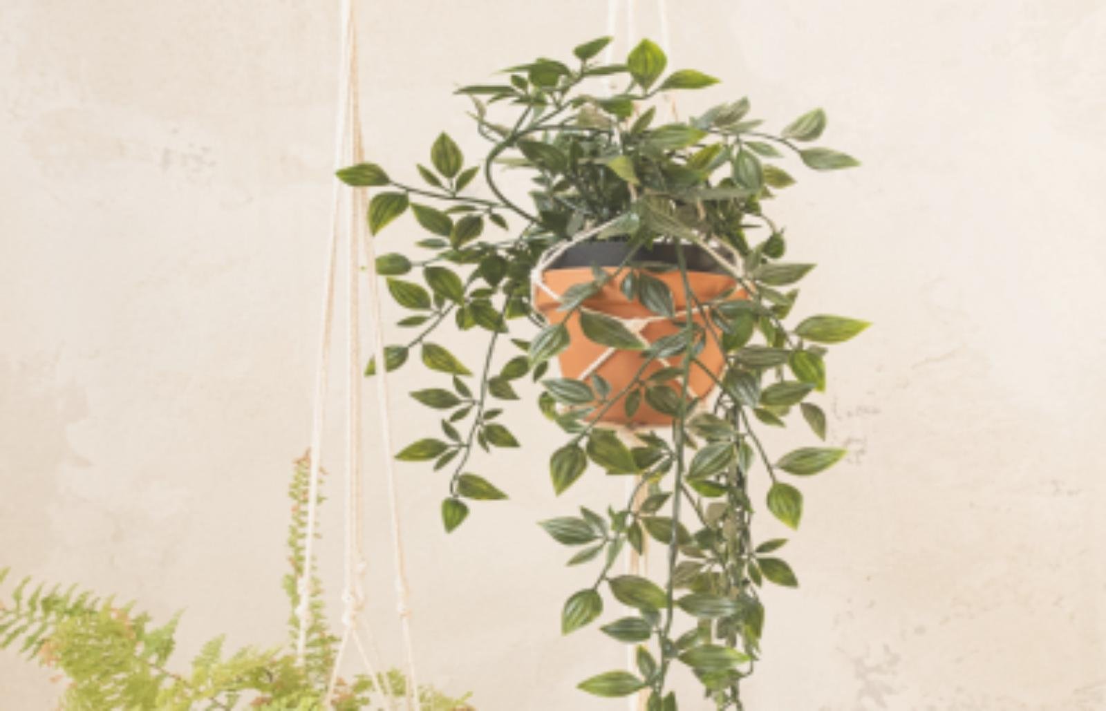 דף הבית - Berale