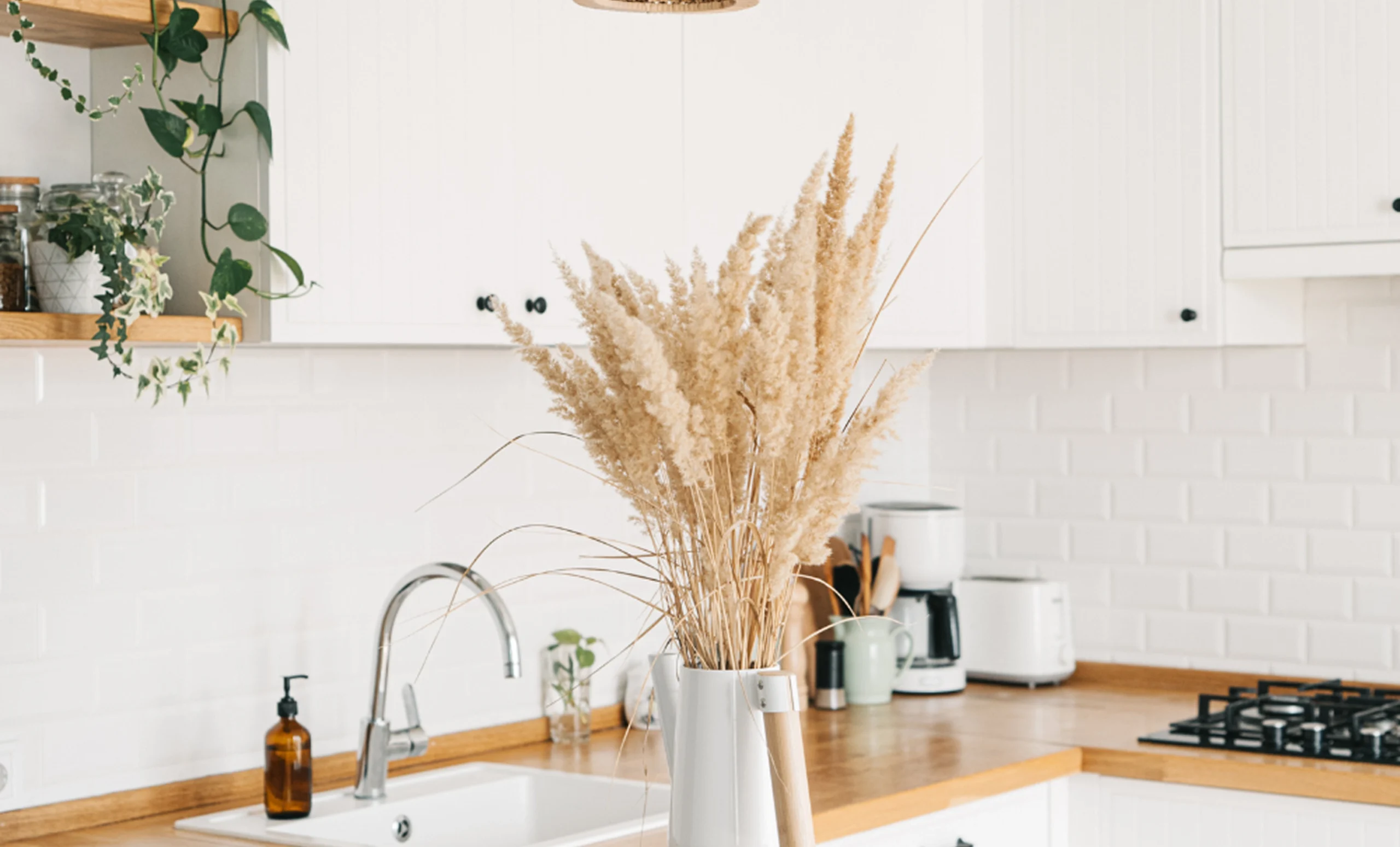 דף הבית - Berale