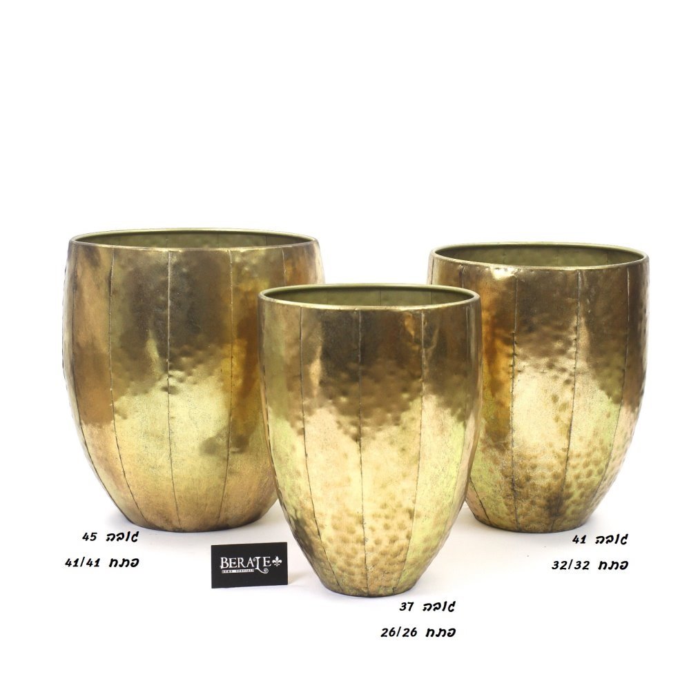 דף הבית - Berale