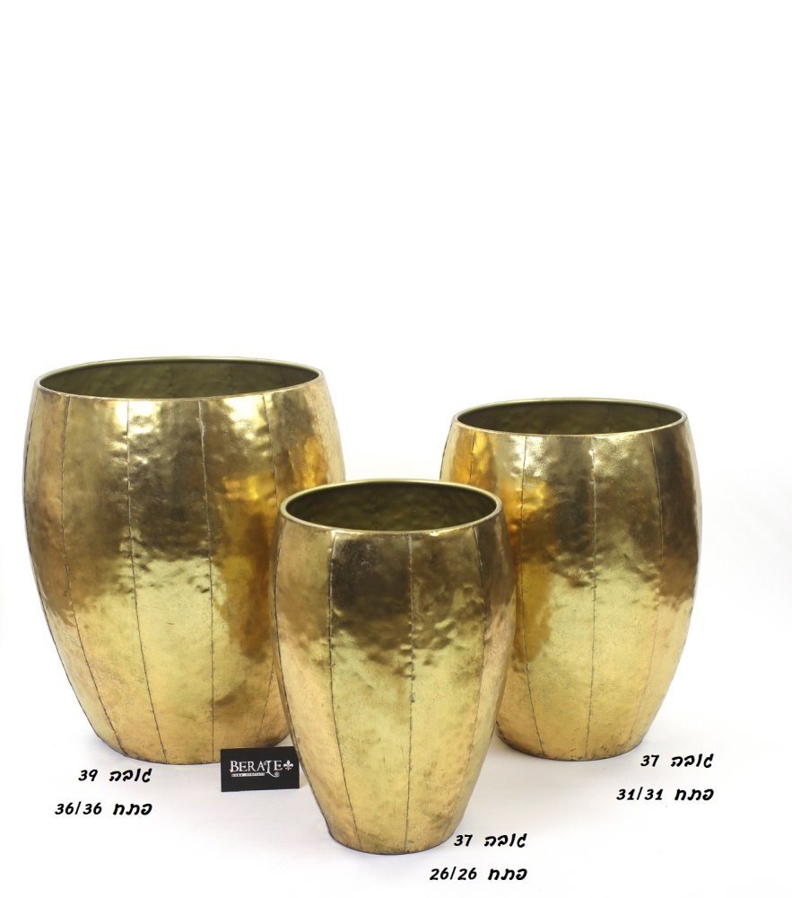 דף הבית - Berale