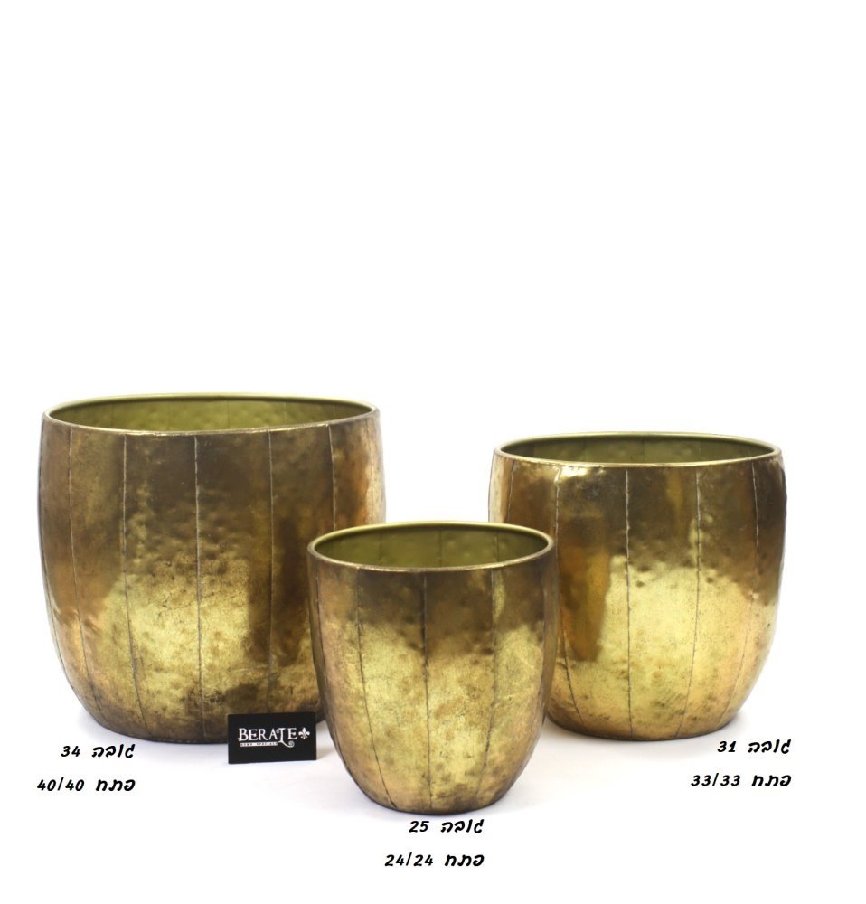 דף הבית - Berale