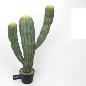 קארדון המקסיקני