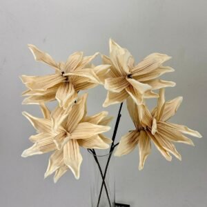 סט ענפי לוטוס סהרה