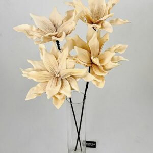 סט ענפי פיוני Desert