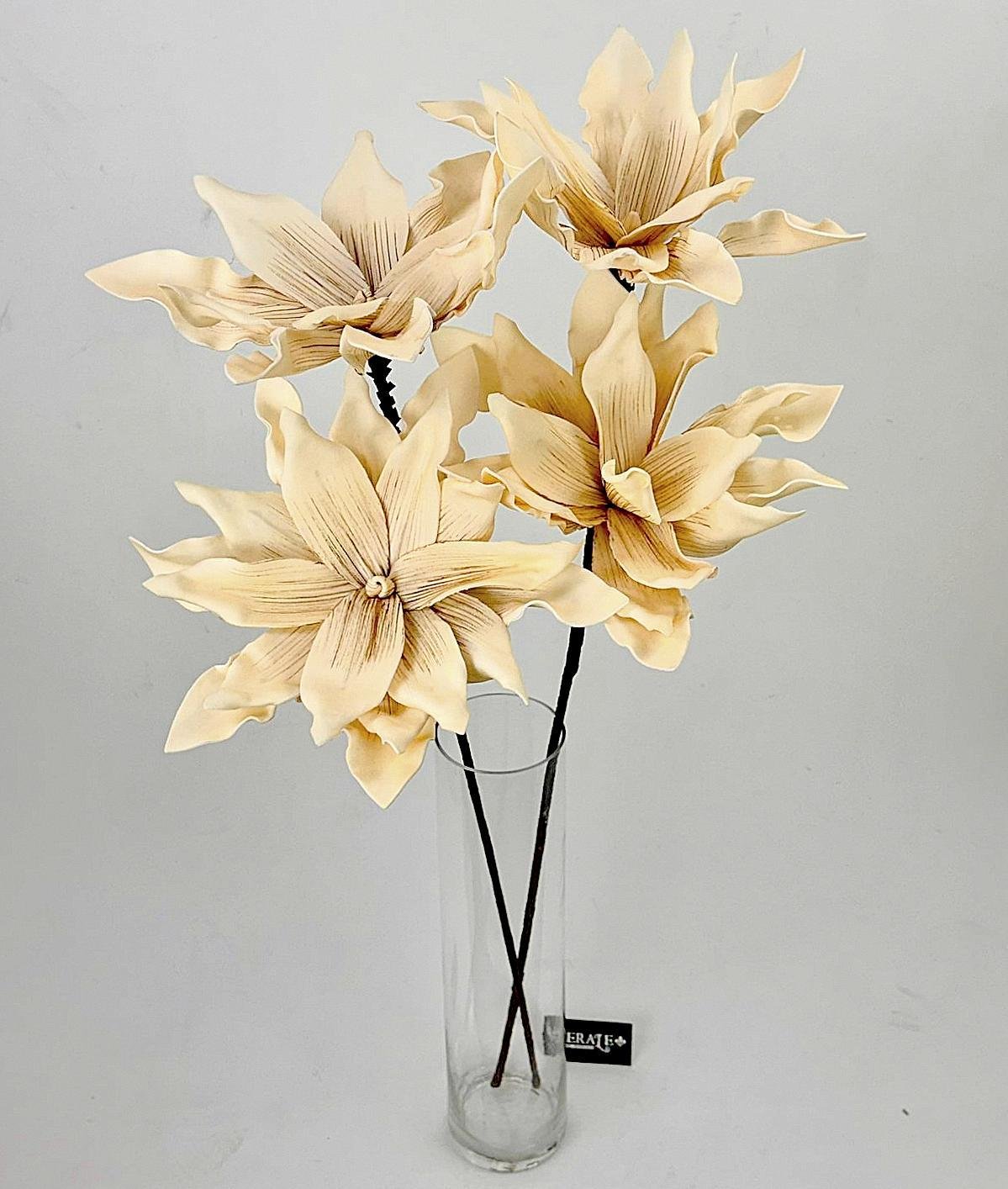 דף הבית - Berale