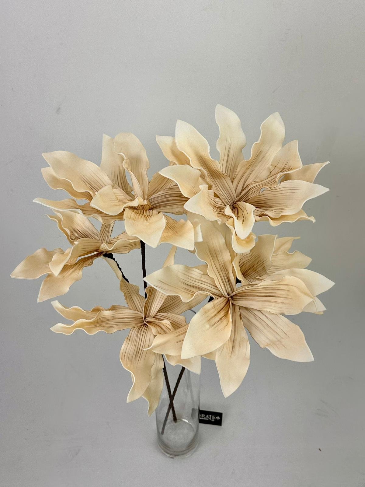 דף הבית - Berale