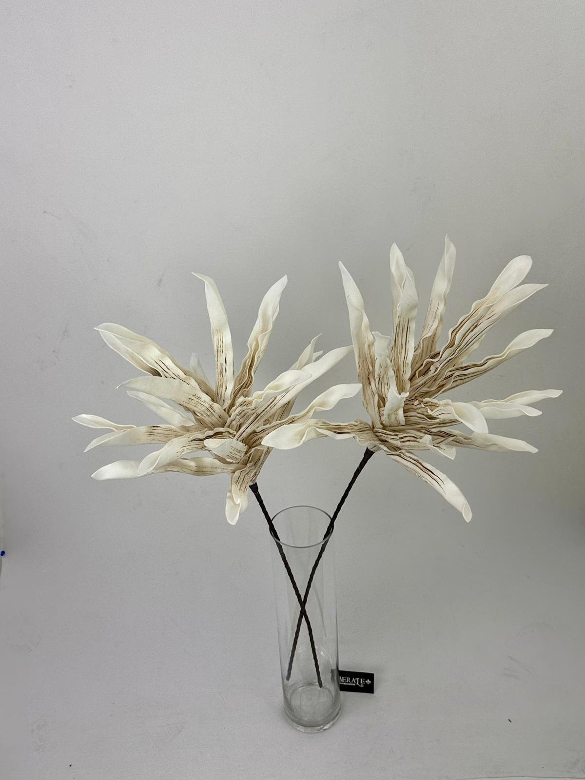 דף הבית - Berale