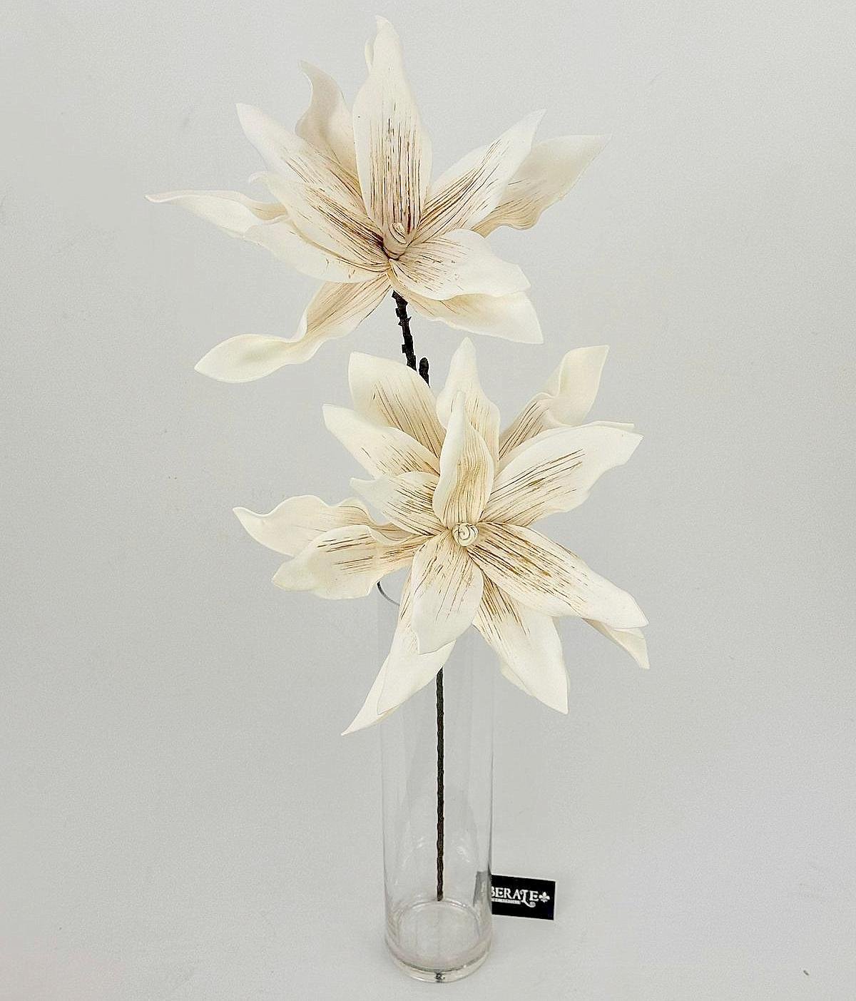 דף הבית - Berale