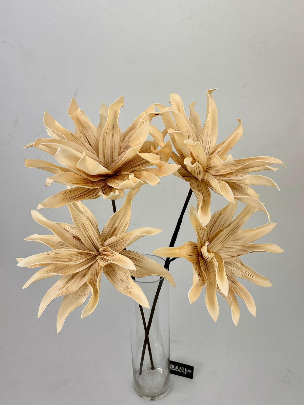 דף הבית - Berale