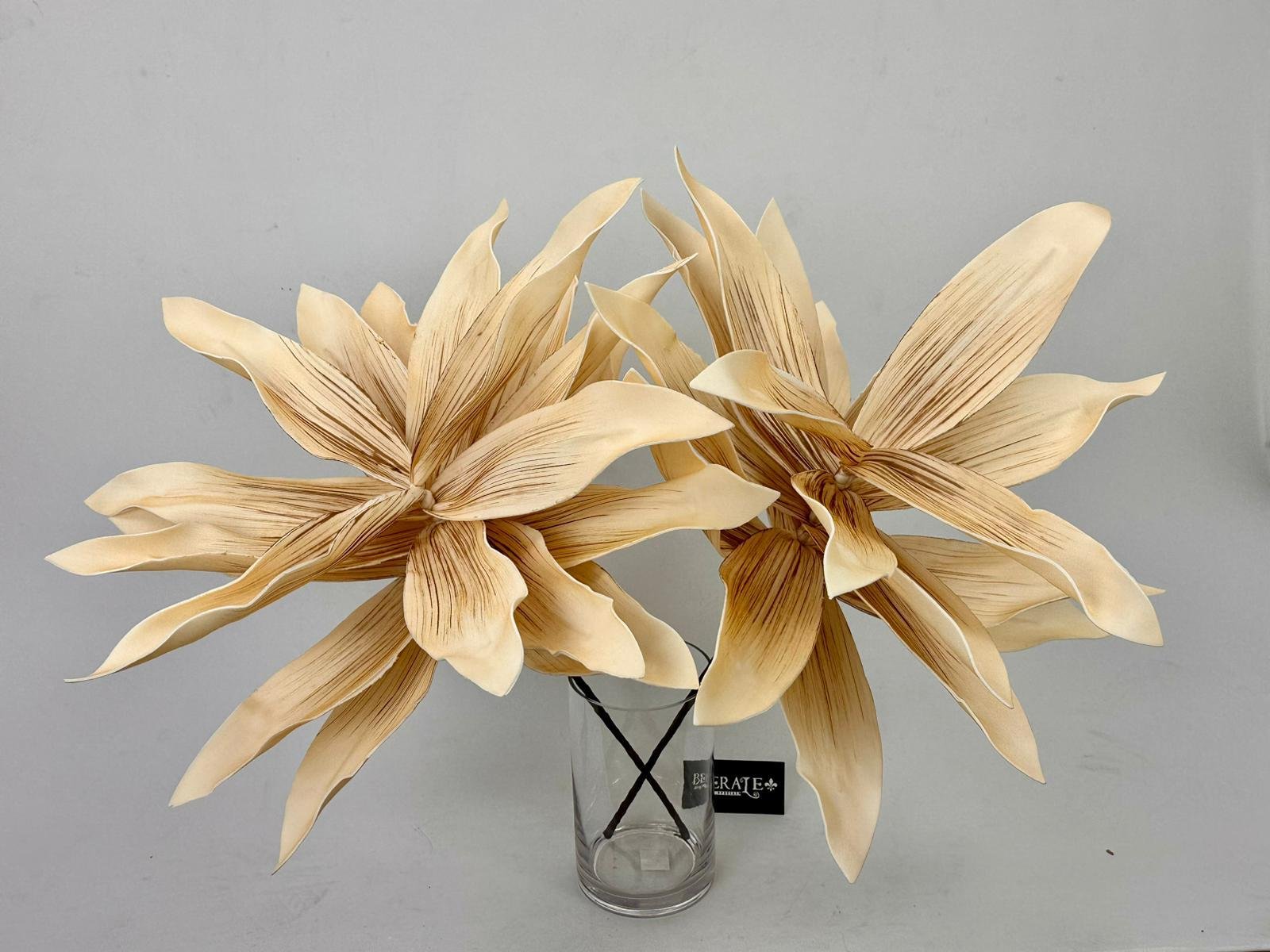 דף הבית - Berale