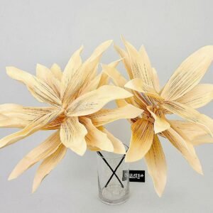 סט ענפי יוקה Bliss