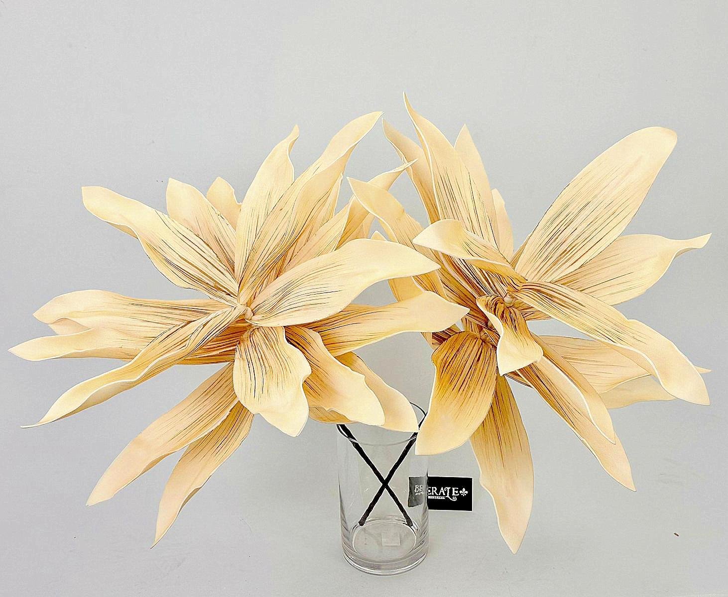 דף הבית - Berale