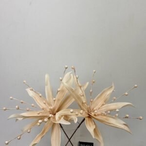 סט ענפי אפידנדרום Pearl