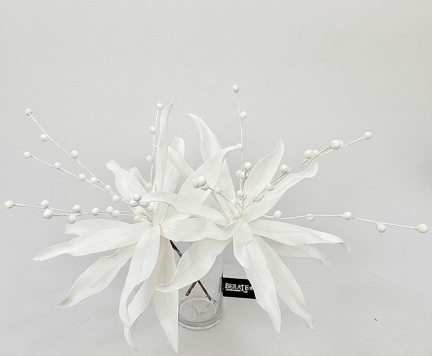 דף הבית - Berale