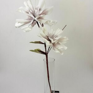 סט ענפי קטליאה Royal