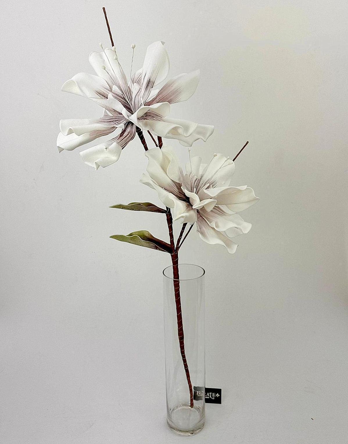 דף הבית - Berale