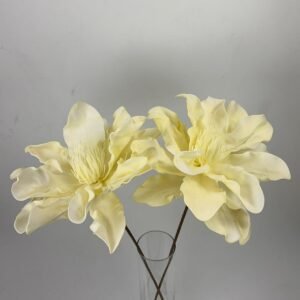 סט ענפי קלמטיס Moonlight