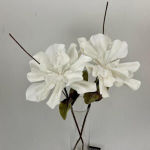 סט ענפי היביסקוס Pure