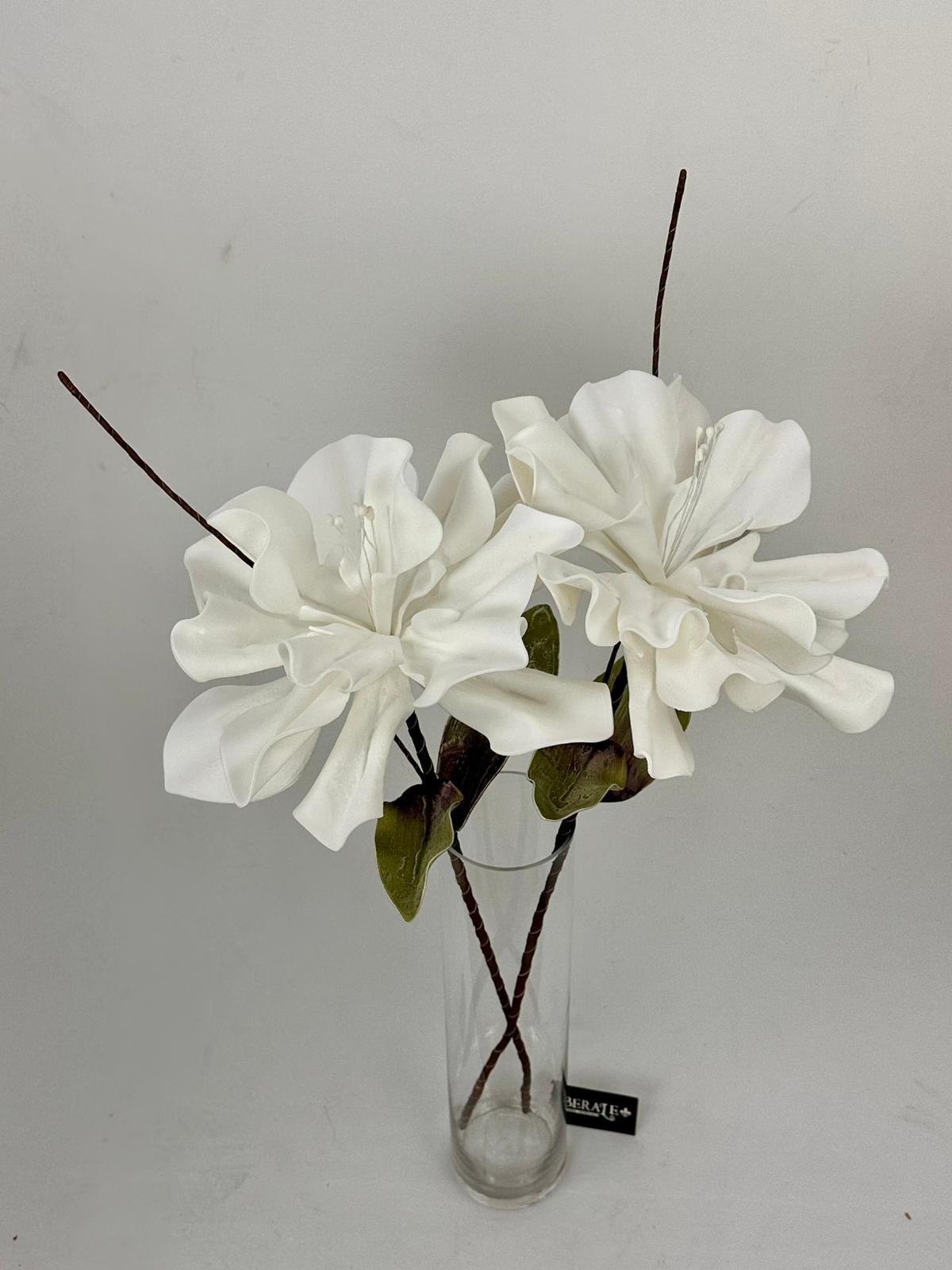 דף הבית - Berale