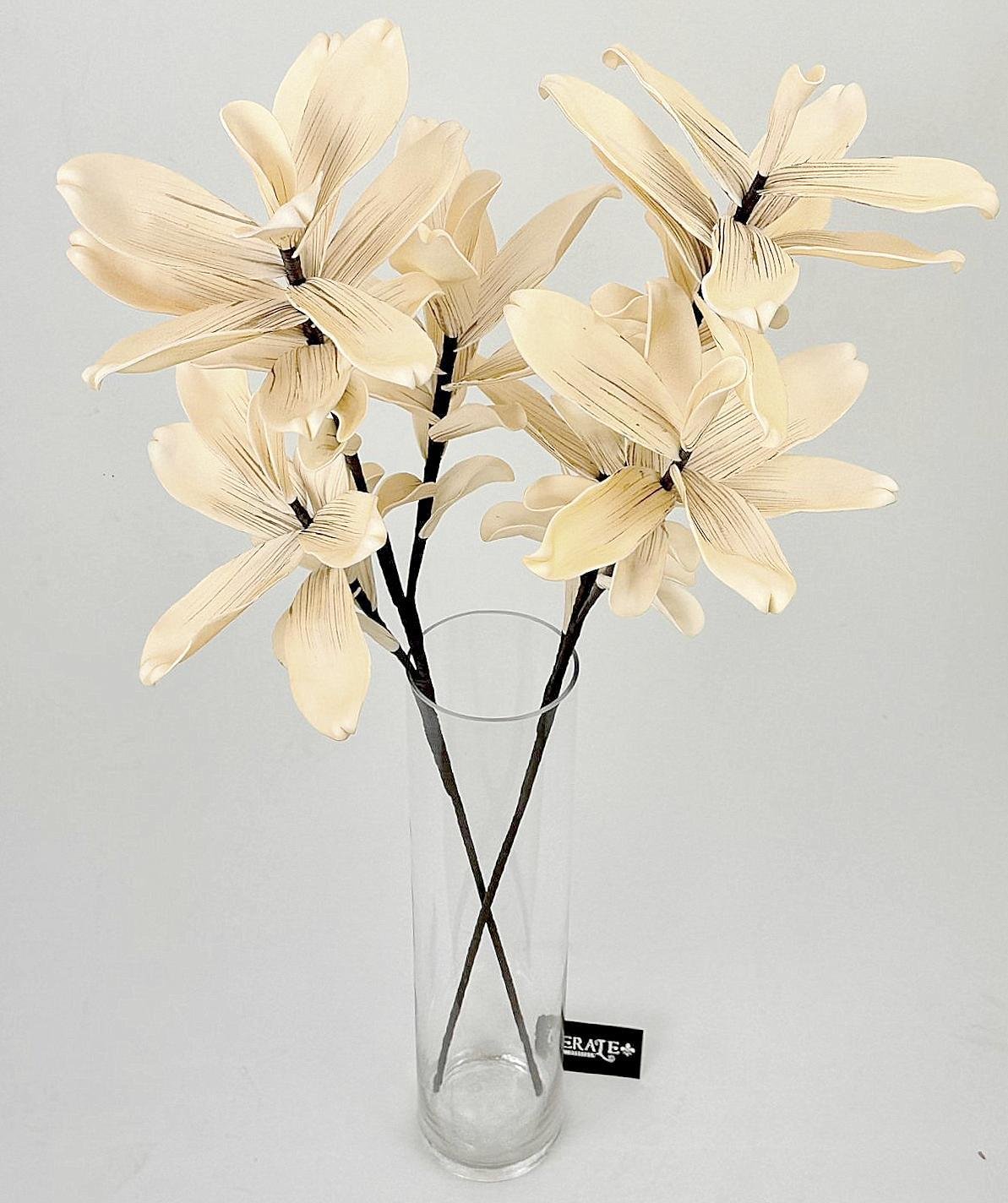 דף הבית - Berale