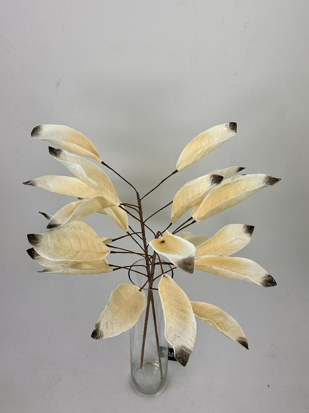 דף הבית - Berale