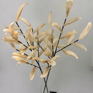 סט ענפי דנדרוביום Savannah Mist