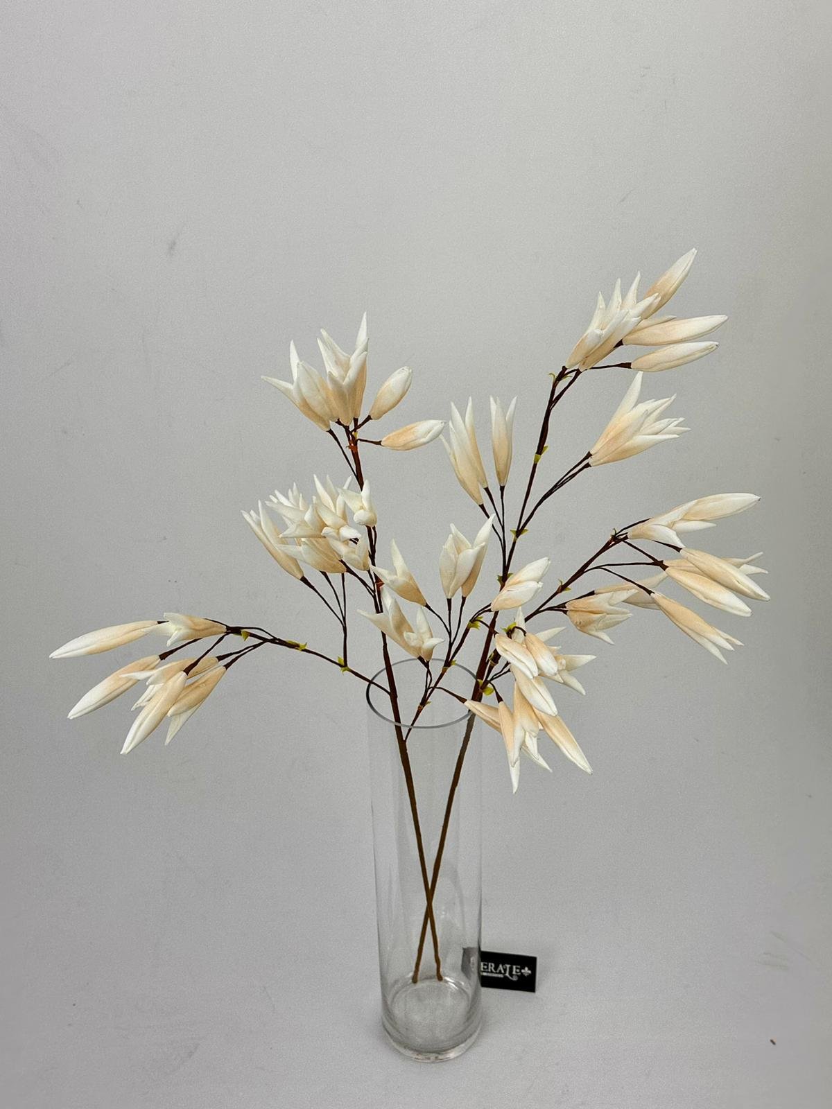 דף הבית - Berale