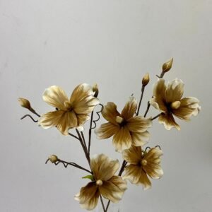 סט ענפי מגנוליה Earth & Bud