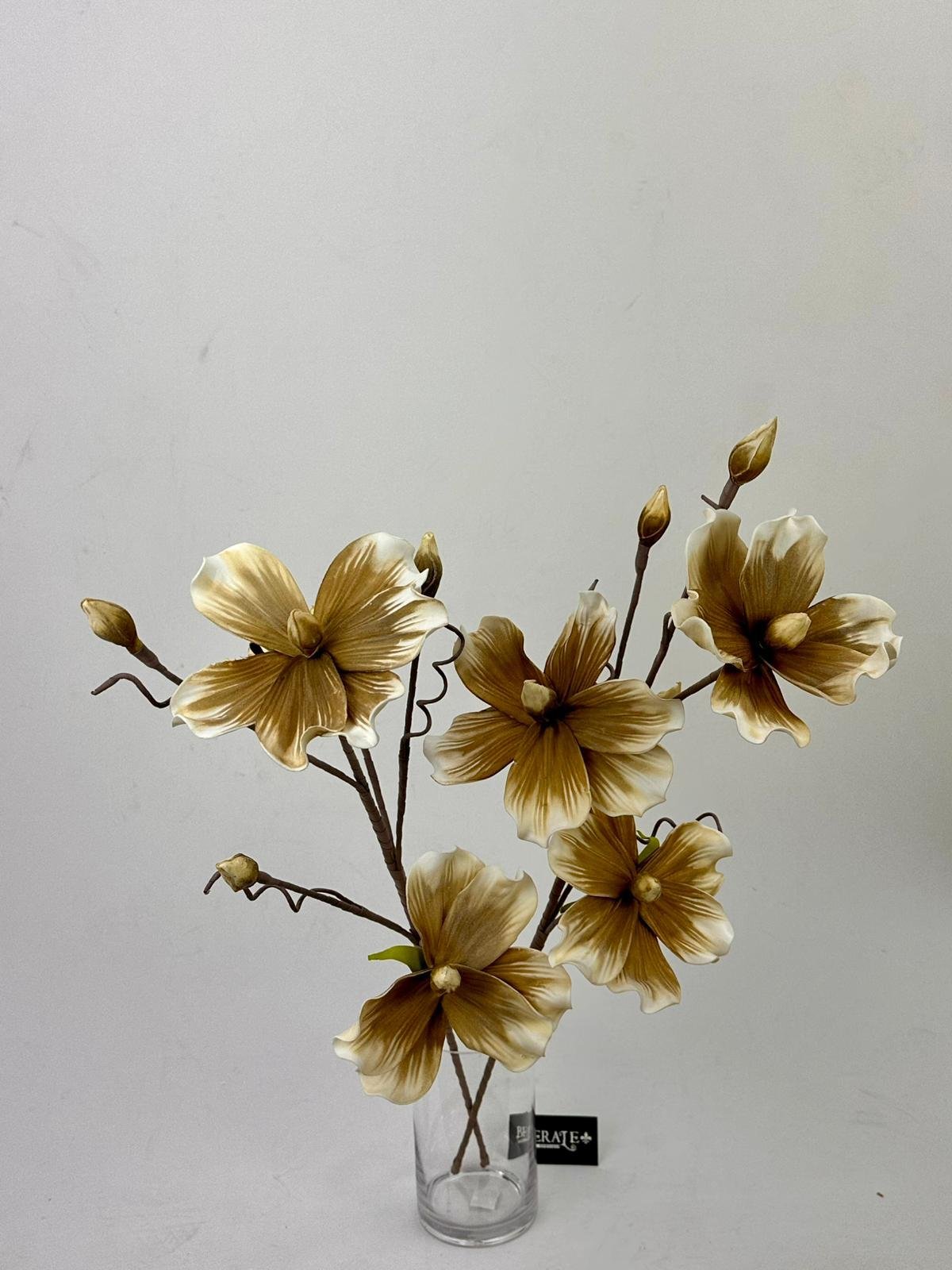 דף הבית - Berale