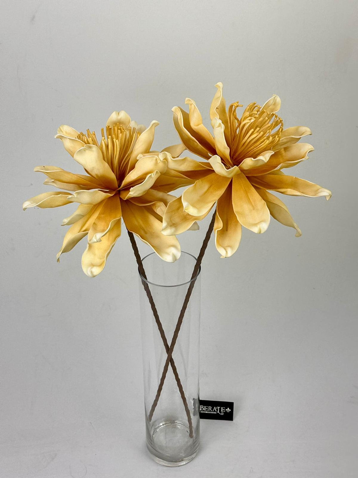 דף הבית - Berale