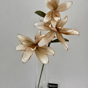 סט ענפי פלומריה Golden Edge