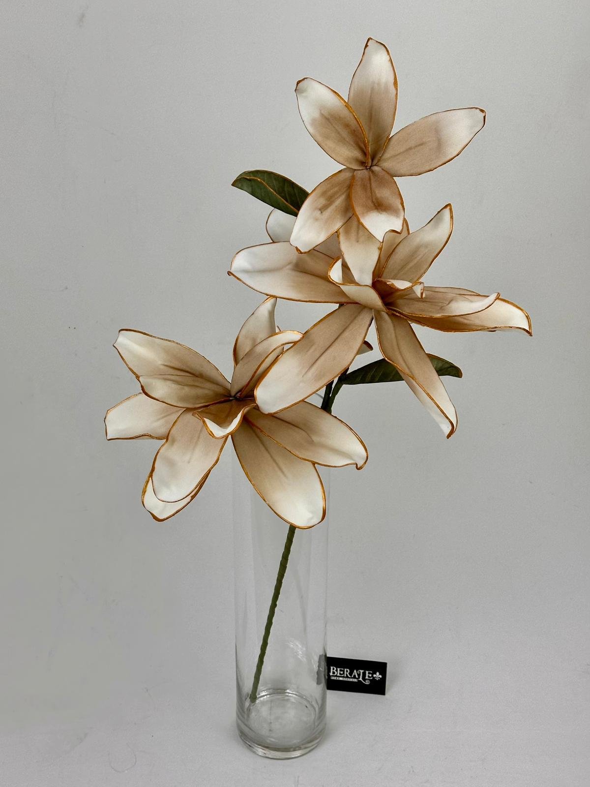 דף הבית - Berale