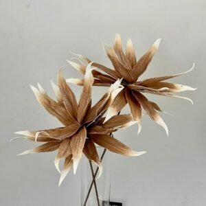 סט ענפי פרוטיאה Desert Frost