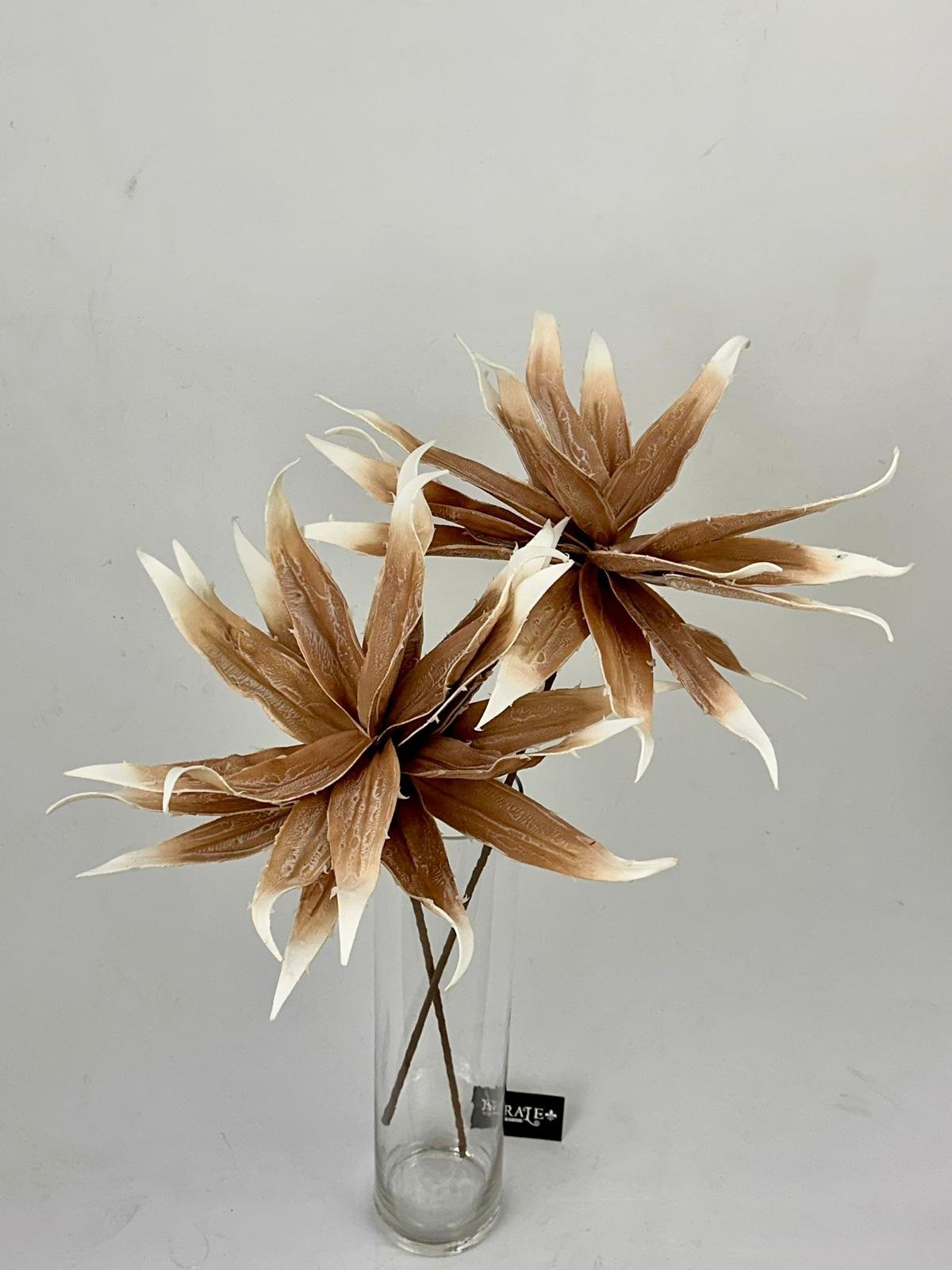 דף הבית - Berale