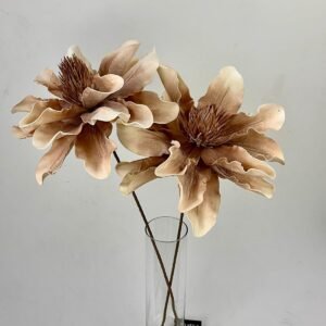 סט ענפי פרוטיאה Earth Queen