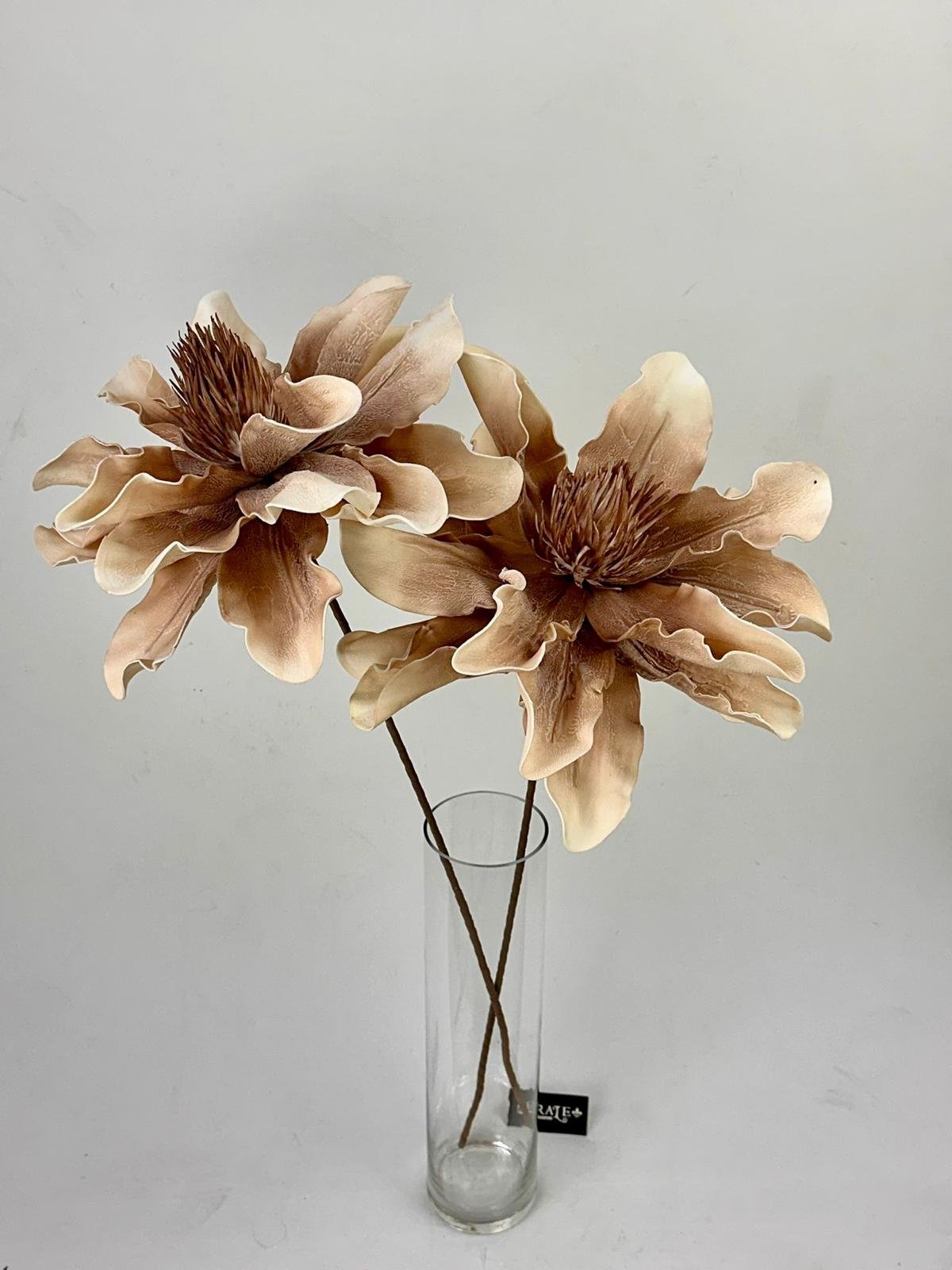 דף הבית - Berale