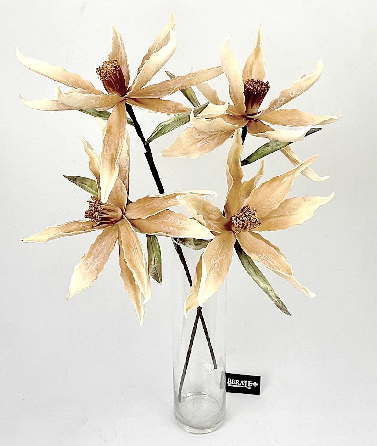 דף הבית - Berale