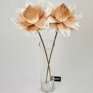 סט ענפי פרוטיאה Savannah Sun