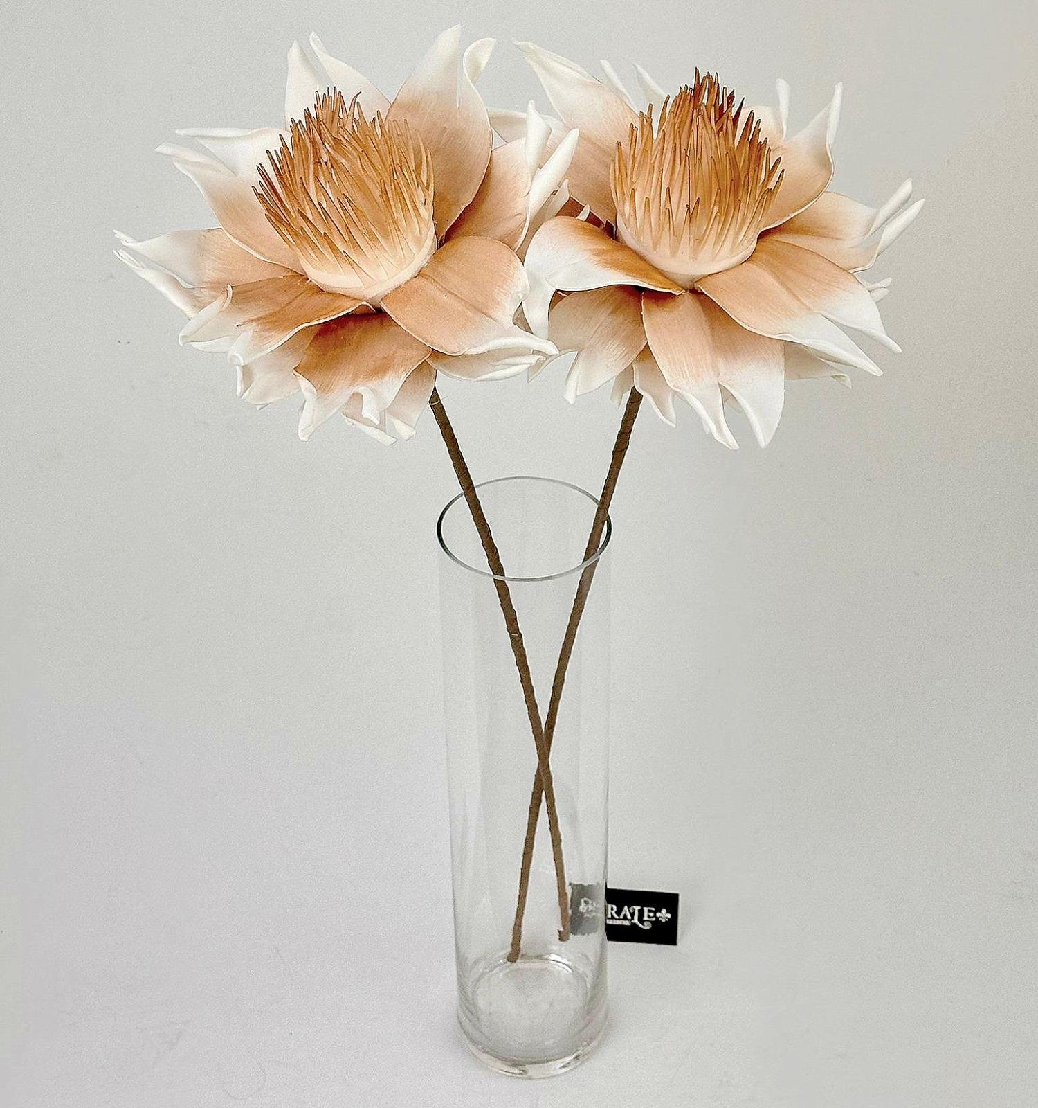 דף הבית - Berale