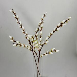 סט ענפי דפנה Snow White