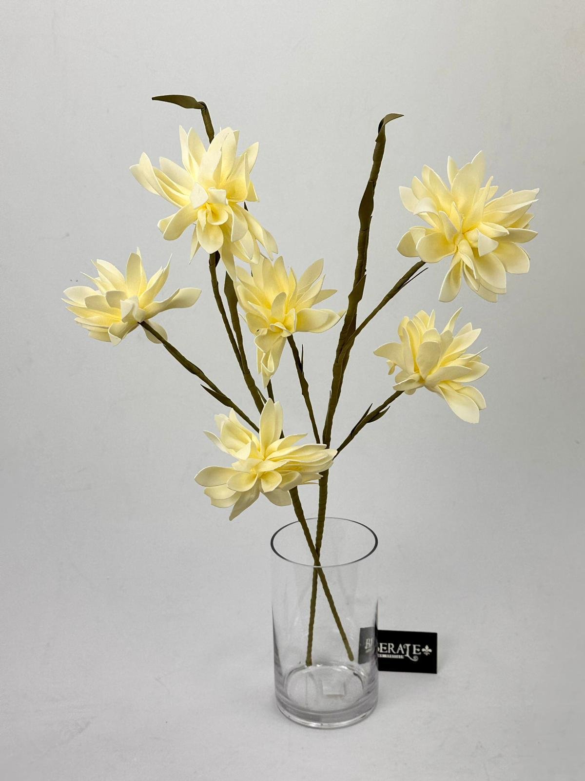 דף הבית - Berale