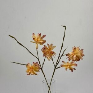 סט ענפי דליה Sunset Bloom