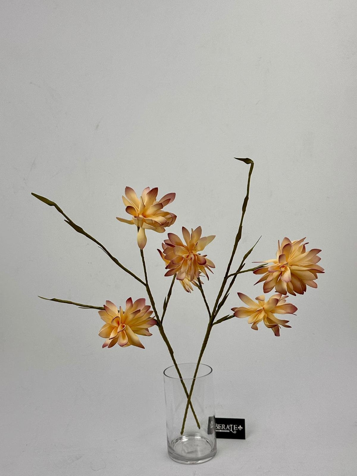 דף הבית - Berale