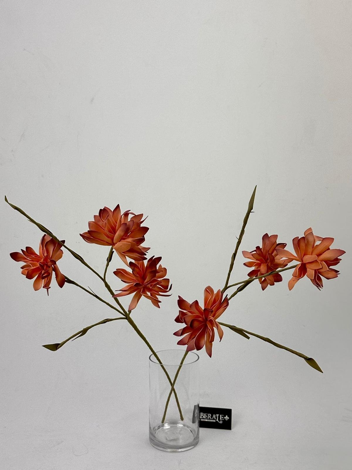 דף הבית - Berale