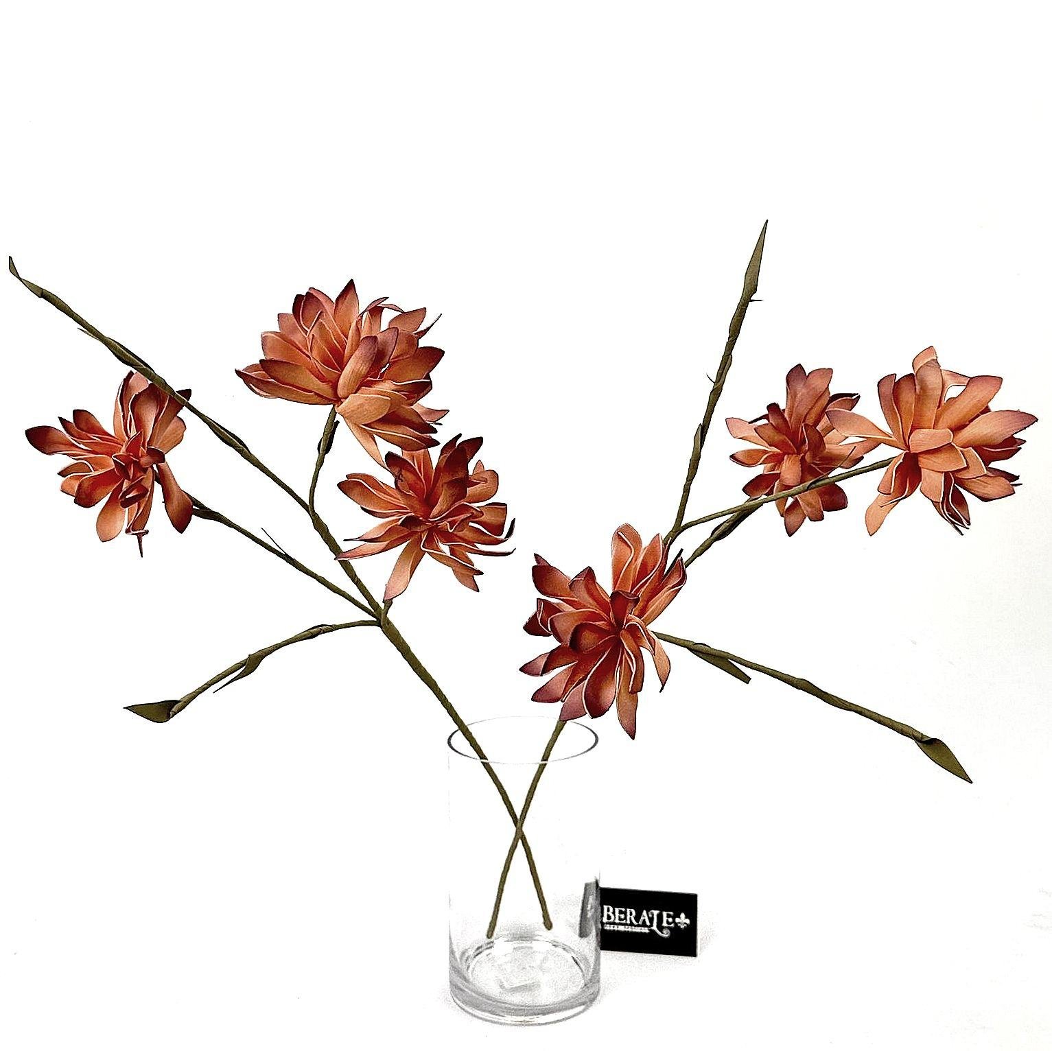 דף הבית - Berale