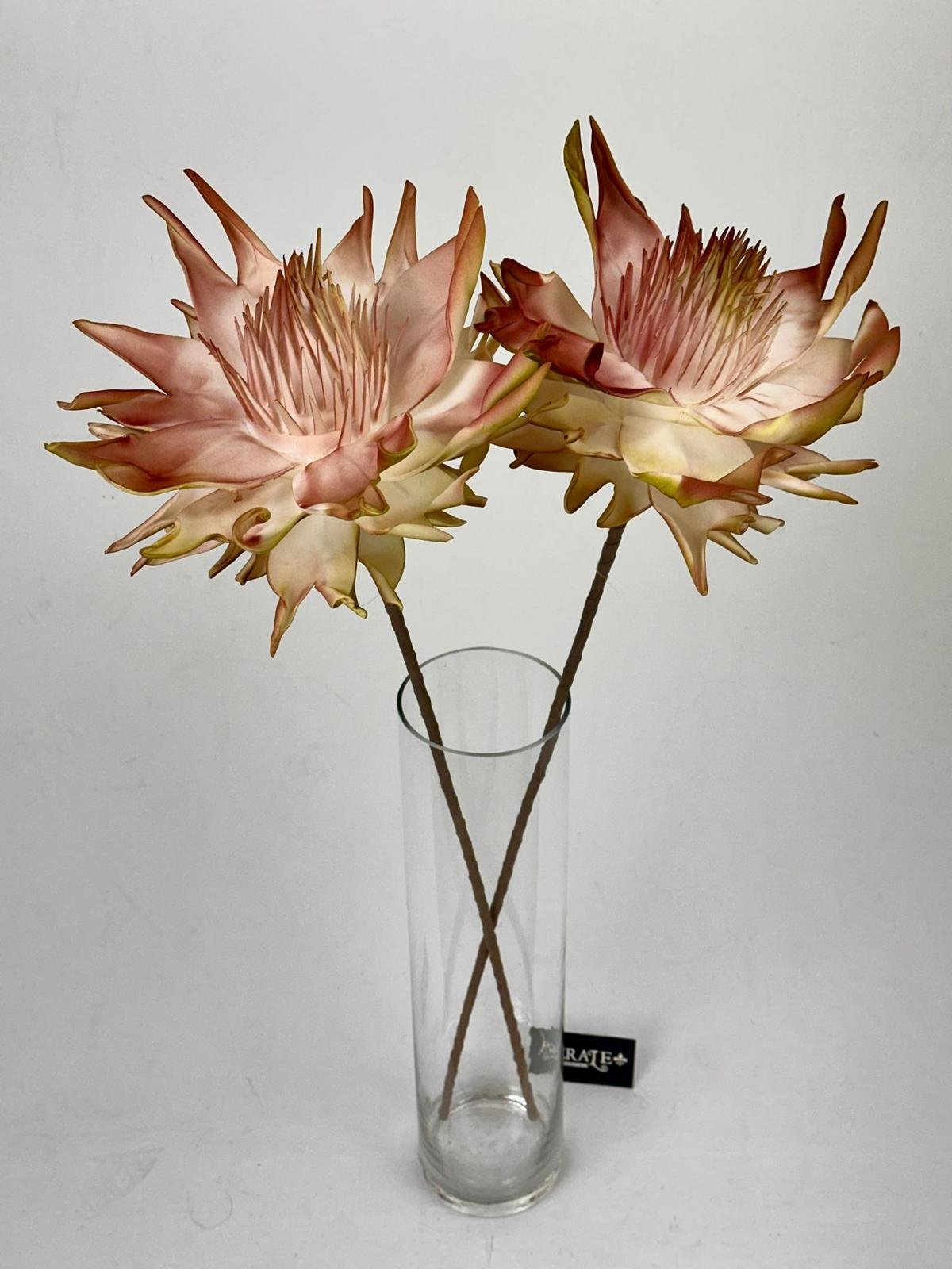 דף הבית - Berale