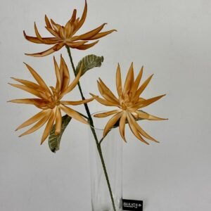 סט ענפי צימבידיום Sunset Gold