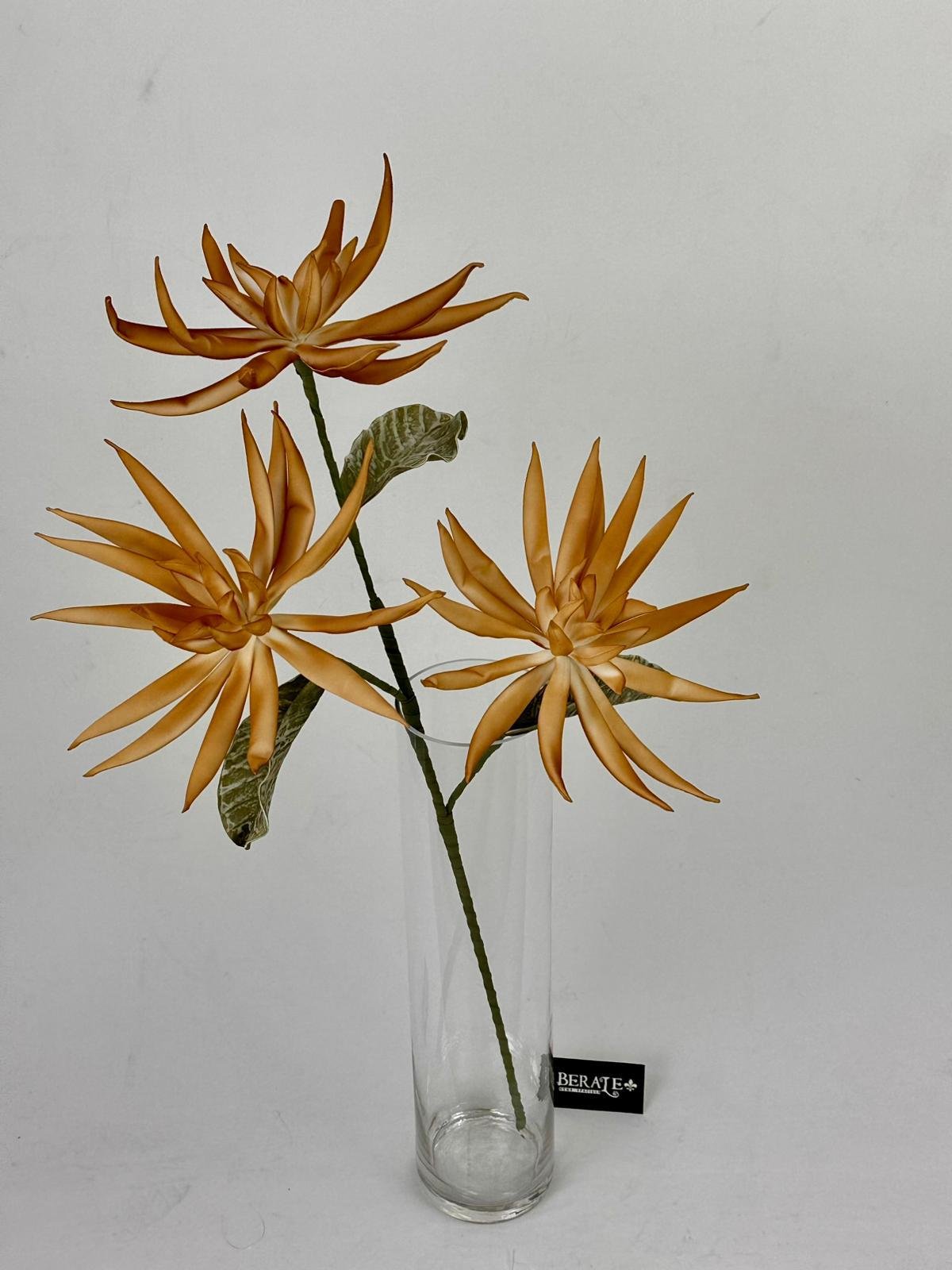 דף הבית - Berale