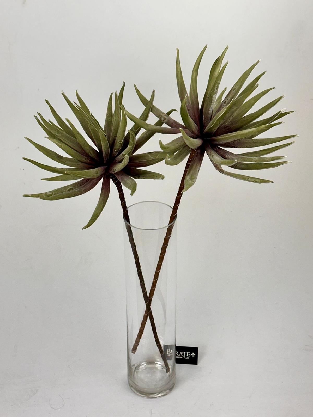 דף הבית - Berale