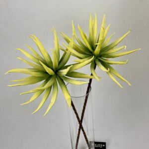 סט ענפי אגבה Lime Spire